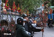 Hang Luoc - A market that blooms once a year, lives for generations